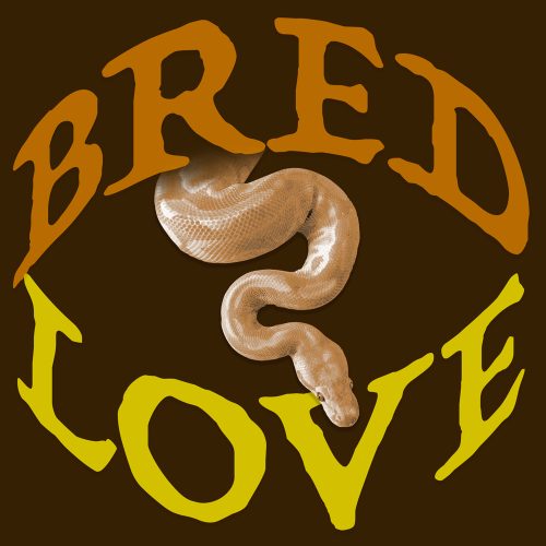 Bred2Love - Reptile Breeder